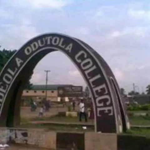 Adeola Odutola Colleges — photo 3