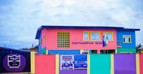 Amethystfield schools — photo 3