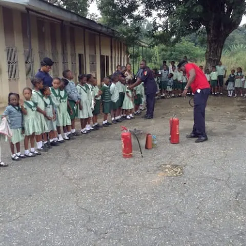 Bloom Group of Schools — photo 3
