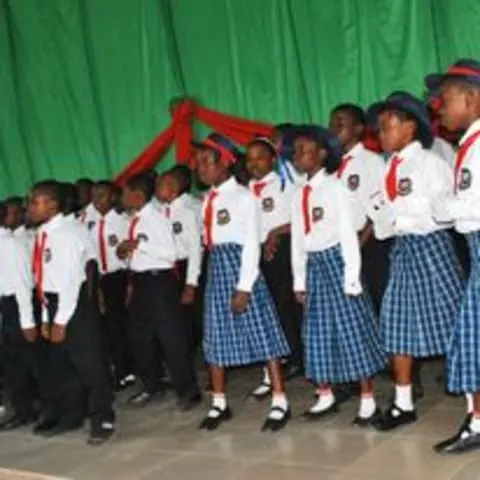 Davic British International School — photo 2