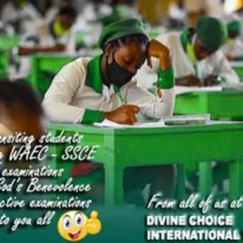Divine Choice International Schools — photo 2