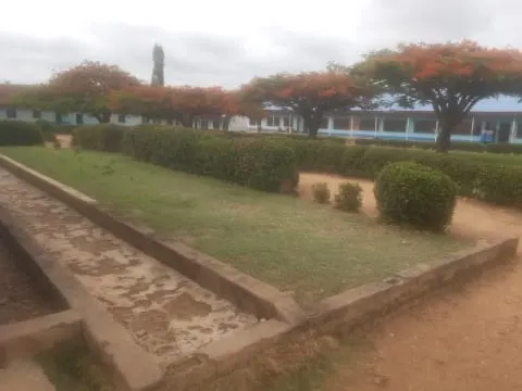 Divine Love Catholic Girls School — photo 2