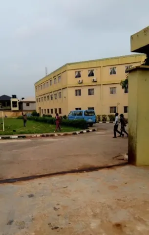 Doland international school — photo 2