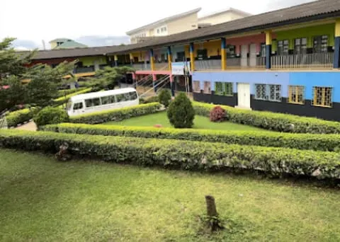 Dominican  School — photo 2