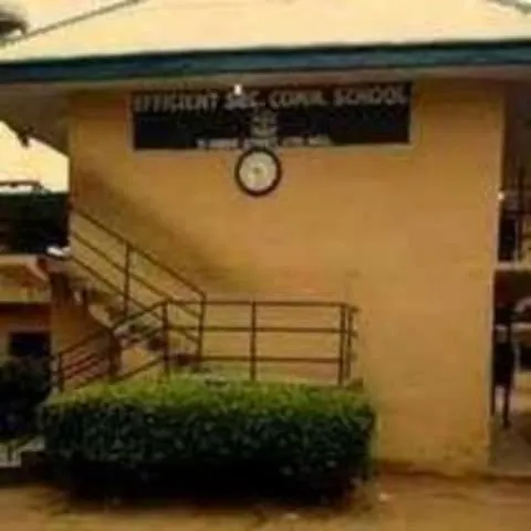 EFFICIENT COMMERCIAL SCHOOL — photo 3