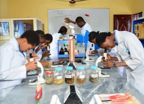 Emovet Schools — photo 3