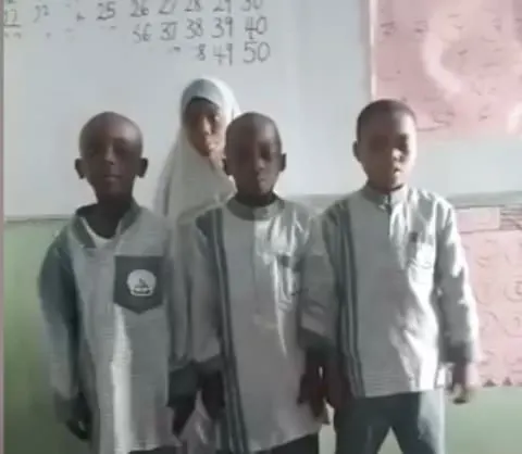 Erudite Breeds Schools — photo 2