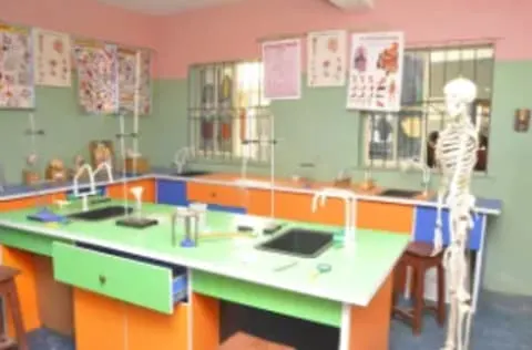 Fatwins School — photo 3