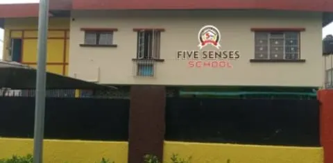 Five senses school — photo 3