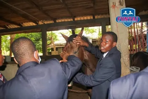 Funtaj International School — photo 2
