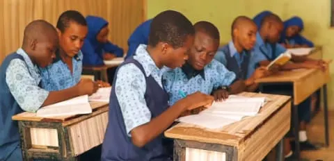 Genius Learning Tree Academy — photo 2