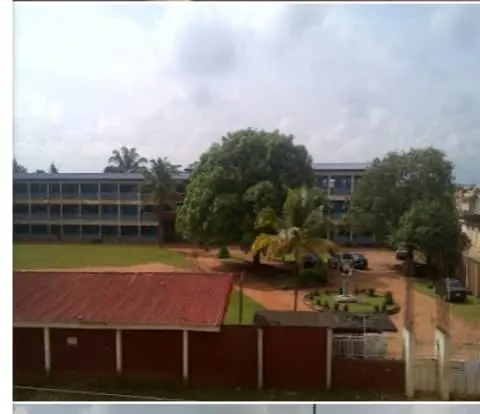 Greater Tomorrow School — photo 3