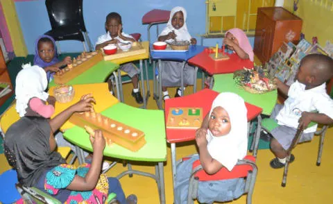 Habile  School — photo 2