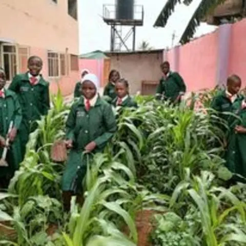 HAMPSONS INTERNATIONAL SCHOOLS — photo 2