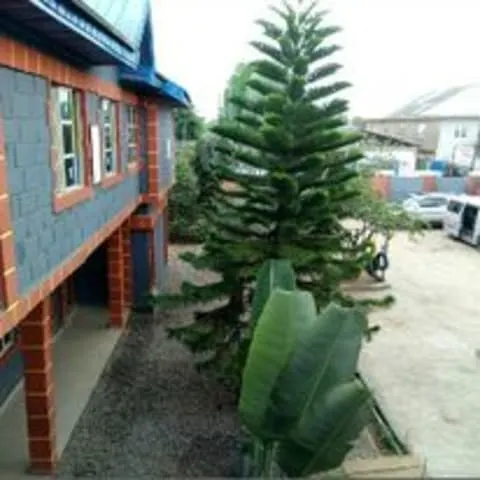 Learning Land Schools — photo 2