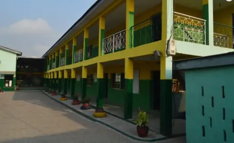 Mate group of schools — photo 3