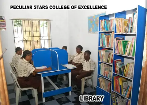 Peculiar Stars College of Excellence — photo 2