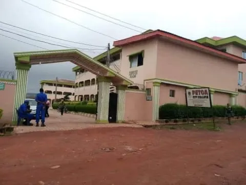 PETOA SCHOOLS — photo 3