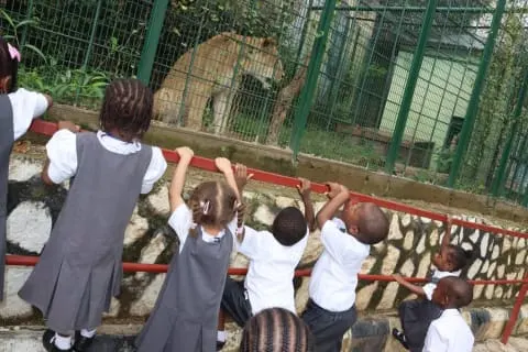 springsvillle international school — photo 2