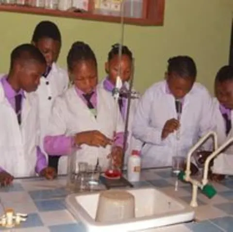 Tender Care Group of Schools — photo 2