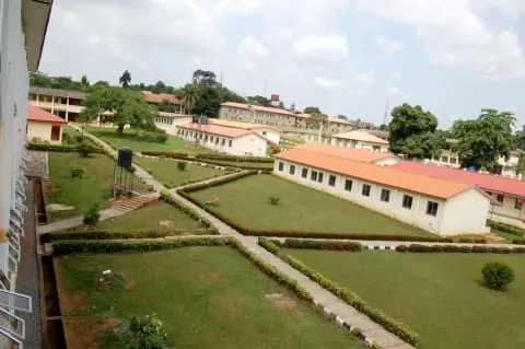 The International School — photo 2