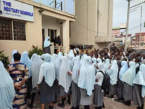 The Nectary Schools — photo 3