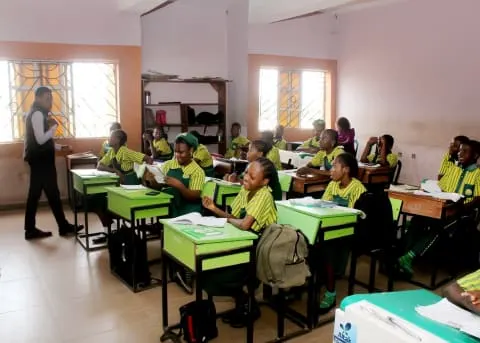 Top Tees Schools — photo 3