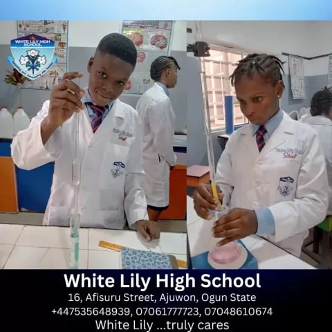 Whitelily School — photo 3