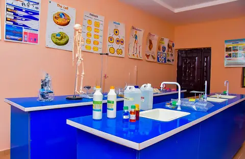 WONDER SPROUT ACADEMY — photo 2